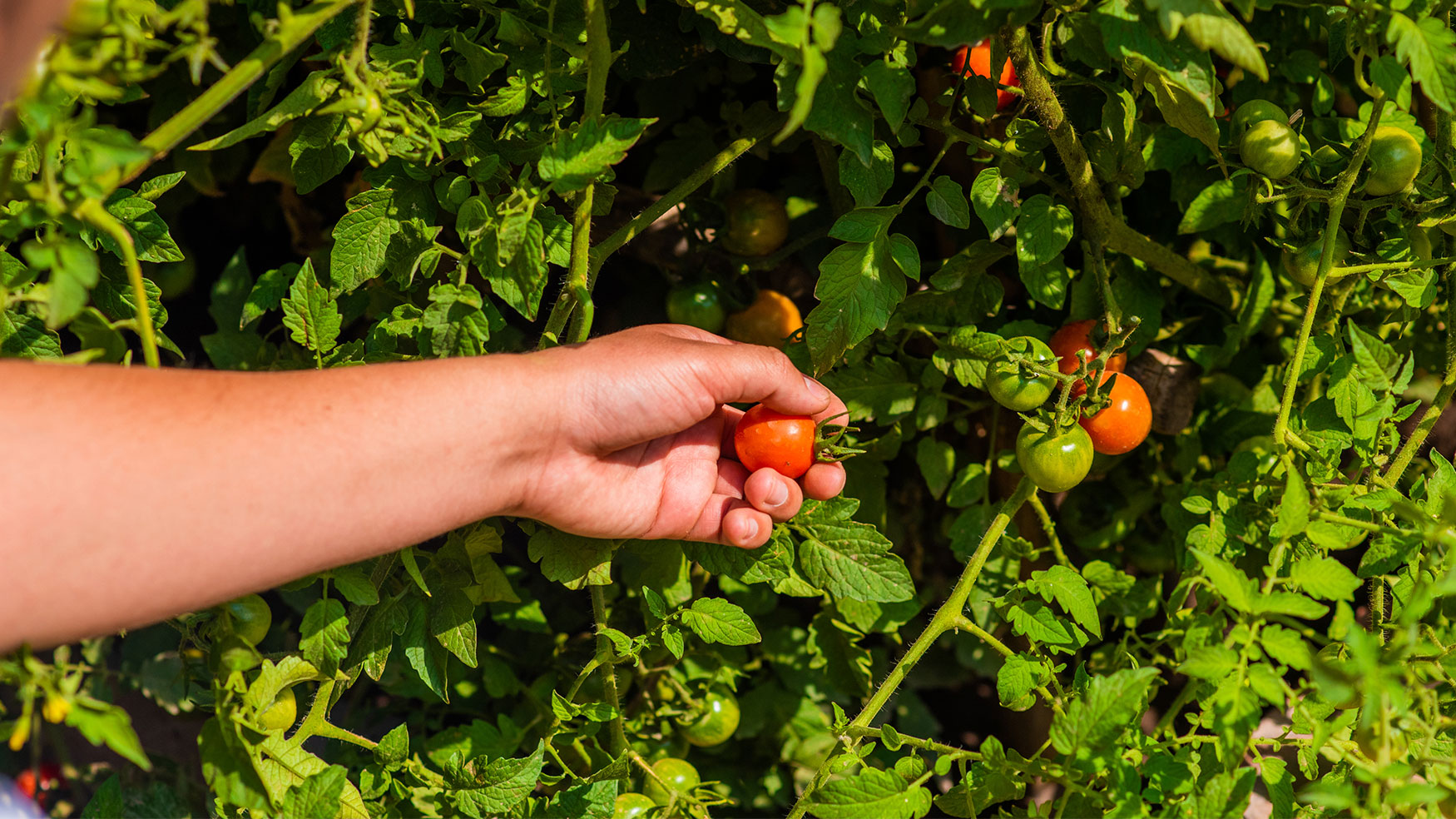Vive la sustentabilidad en Las Majadas